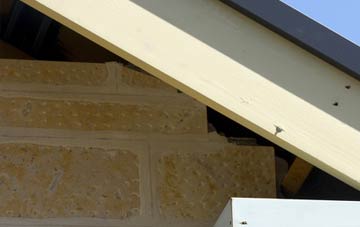 soffit repair Ravenhills Green